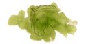 Holy Horseman logo