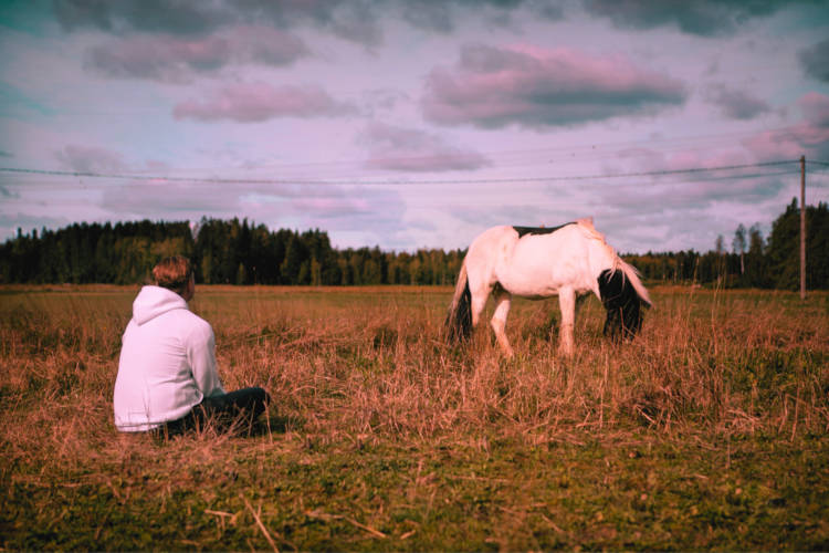 Animal Healing with Shamanic Guidance